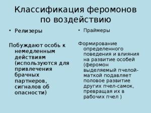 Повышение сексуальной привлекательности с помощью духов с феромонами для мужчин Что такое феромоны в духах